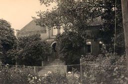 Gänse am Weg zum Friedhof in Juckstein