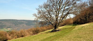 Auf dem Dornberg bei Weißenbach