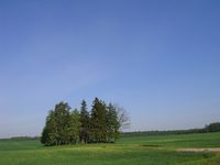 Friedhofswäldchen in Bajohr Mitzko