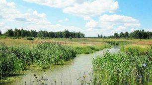 Landschaft bei Sodargen im Norden des Kreises Stallupönen