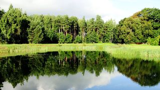 Waldsee in der Nähe von Posingen