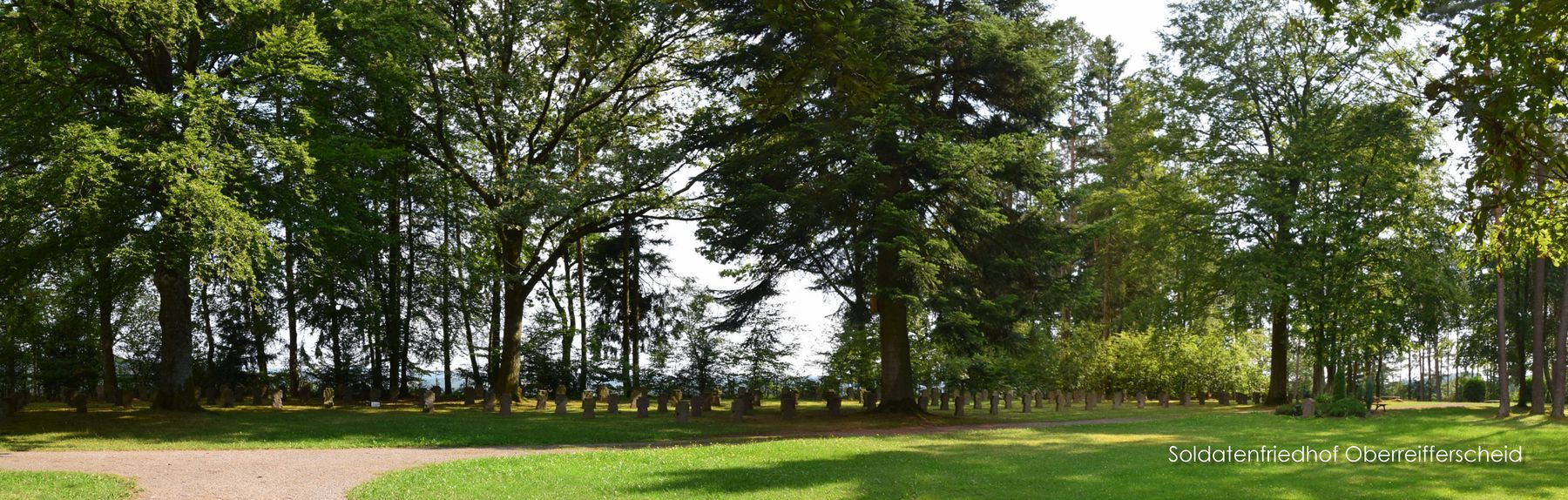 Der Friedhof in einem Waldstück