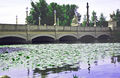 Brücke zum Schloss