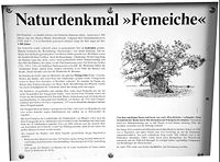 Informationstafel über die Femeiche