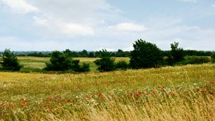 Landschaft im nördlichen Ostpreußen