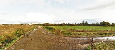 Zufahrt nach Neu Kattenau, Kreis Stallupönen