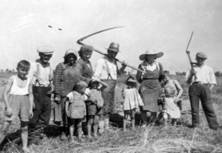 Familie Tuttlues bei der Ernte