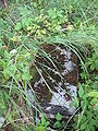 15.09.2010Friedhof Neusass Sköries006.jpg