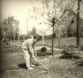 Der Garten - im Hintergrund die Bäckerei Lottmann